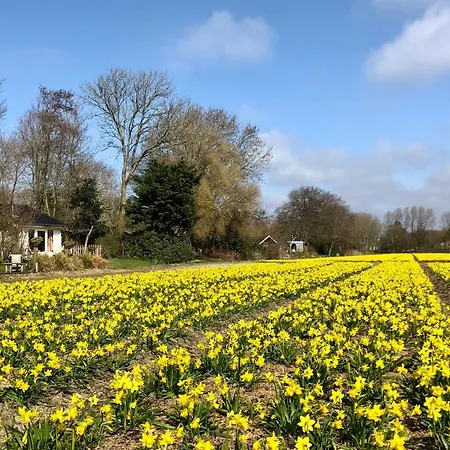 Klein Langeveld Chalet Noordwijkerhout