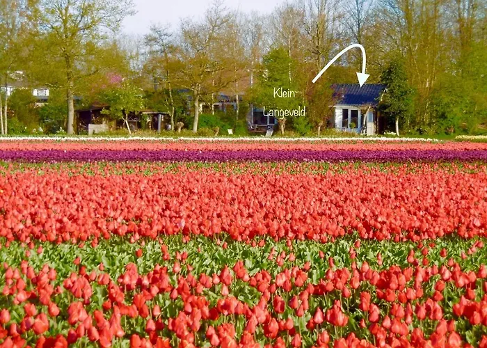 Klein Langeveld * Noordwijkerhout