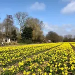Klein Langeveld Alpehytte Noordwijkerhout