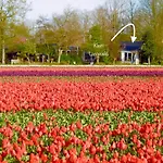 Klein Langeveld * Noordwijkerhout